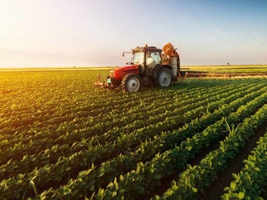 Migración circular generará 150 plazas agrícolas para trabajadores ecuatorianos