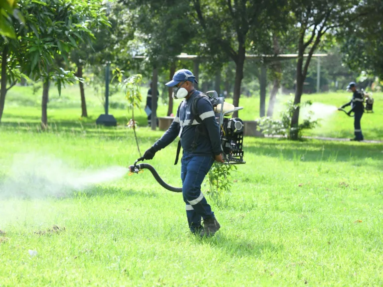 Casos de dengue se disparan en Guayaquil mientras persiste la automedicación
