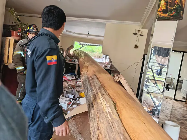 Árbol cae sobre vivienda en Cuenca: daños y afectación eléctrica