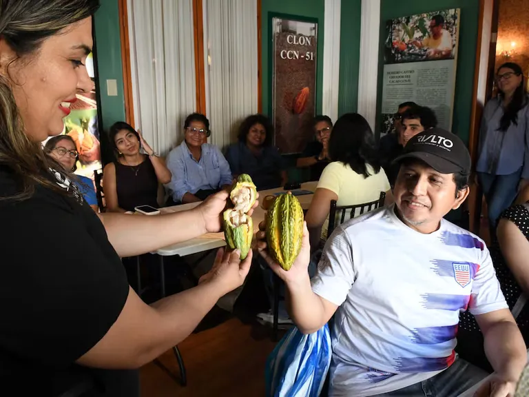 Cacaoterapia en Guayaquil: Museo del Cacao reunió a adultos mayores