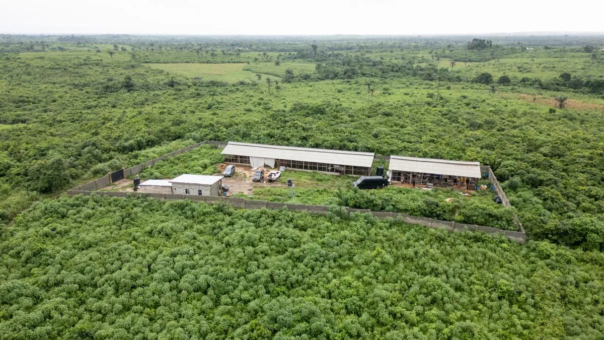 Cartel de Sinaloa y metanfetamina: fábrica en Swartruggens