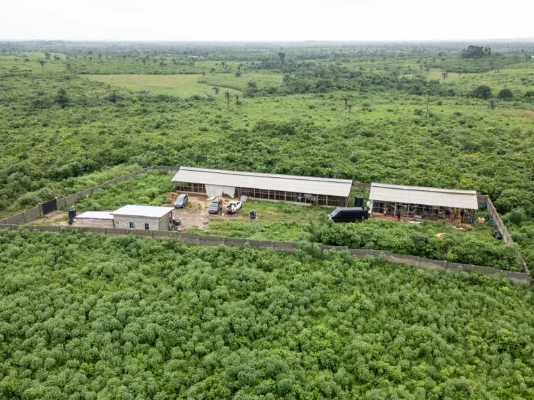 Cartel de Sinaloa y metanfetamina: fábrica en Swartruggens