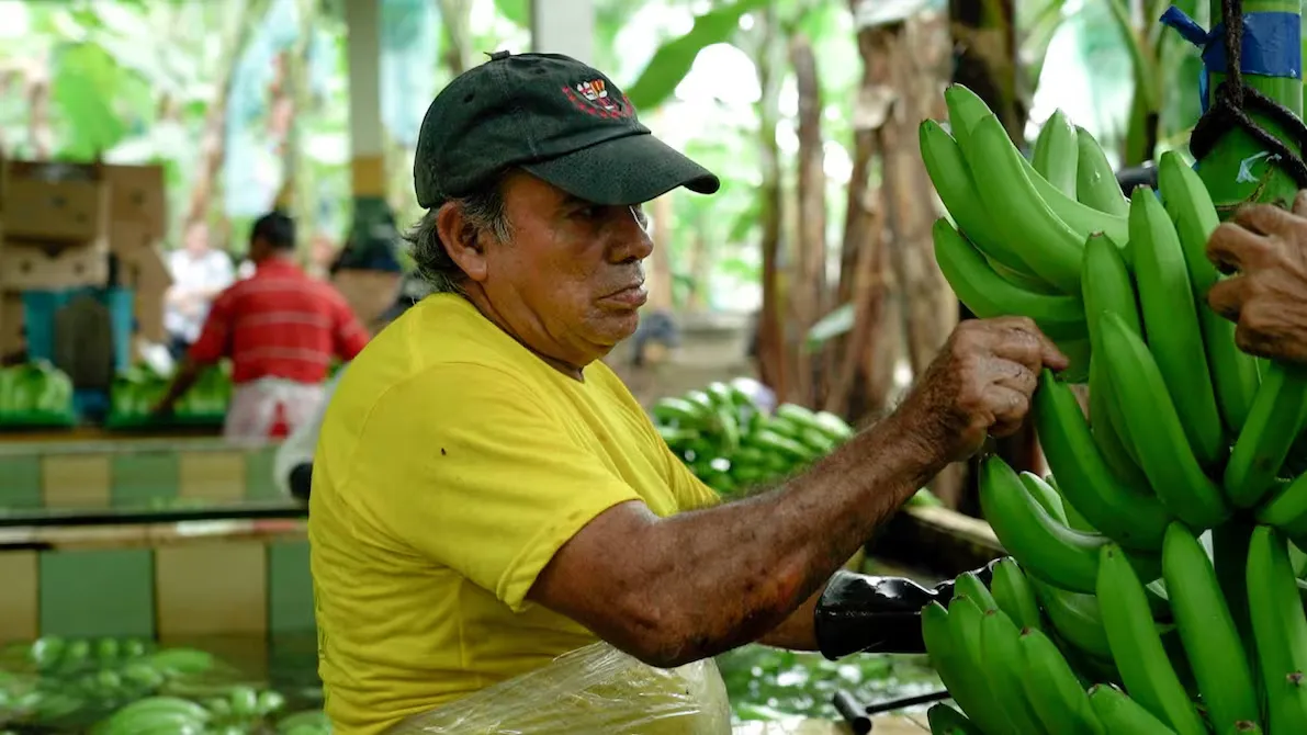 Ecuador en Fruit Attraction Madrid: masterclass con banano y cebiche