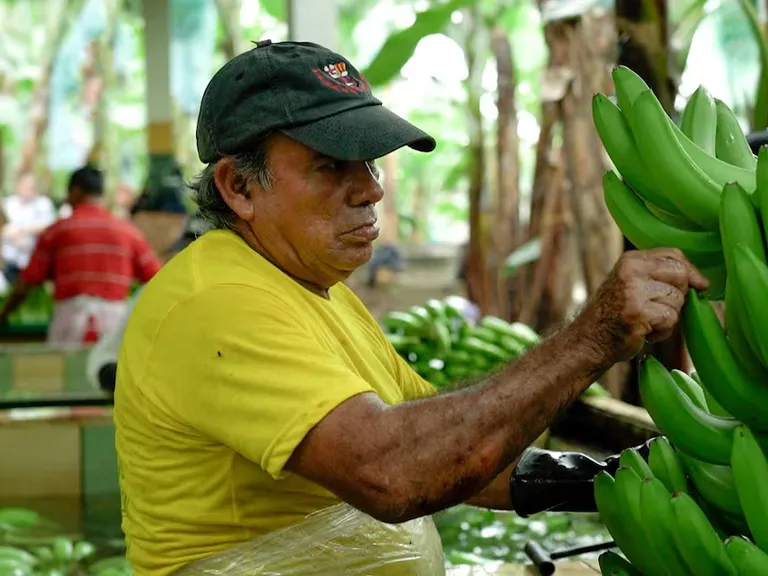 Ecuador en Fruit Attraction Madrid: masterclass con banano y cebiche
