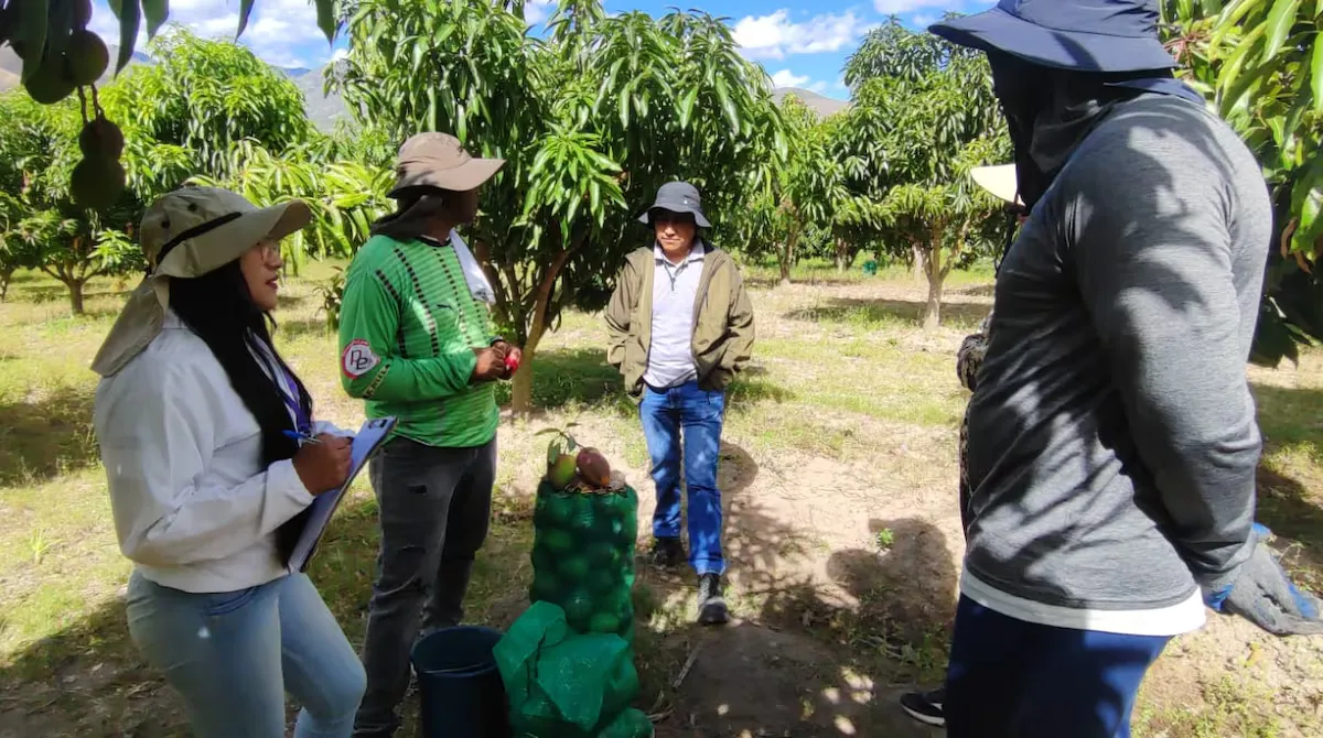 Enlaces comerciales: $63 millones en ventas directas para agro