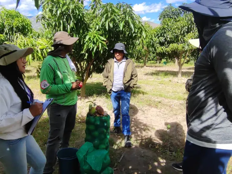Enlaces comerciales: $63 millones en ventas directas para agro