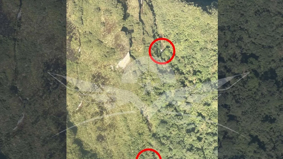 HK-4985: confirman muerte de los cinco tripulantes en Colombia