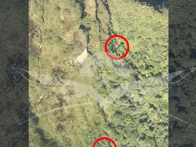 HK-4985: confirman muerte de los cinco tripulantes en Colombia