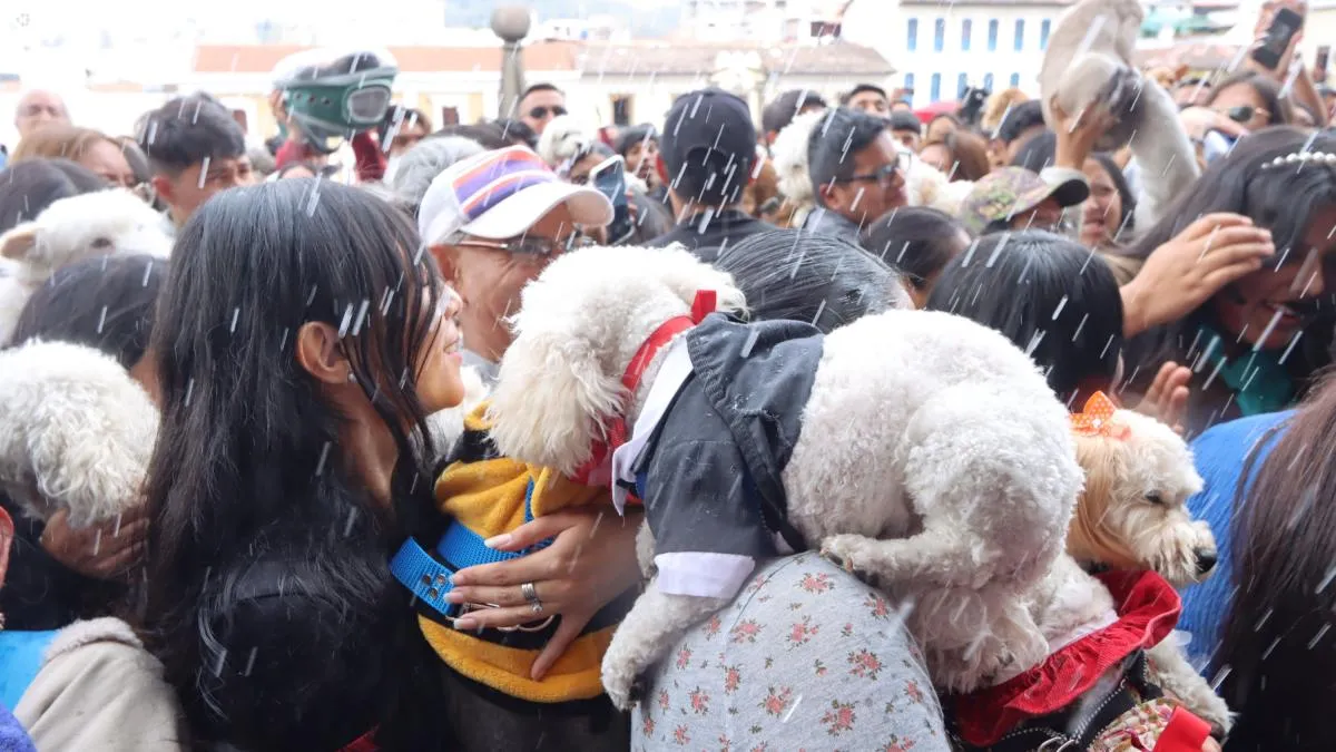 Iglesia de San Francisco en Quito alista bendición de mascotas