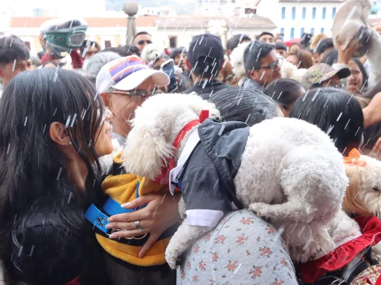 Iglesia de San Francisco en Quito alista bendición de mascotas