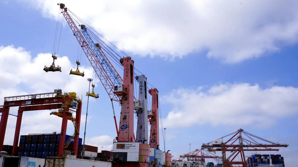 OMC: comercio mundial crece en 2026 por IA, América Latina queda atrás