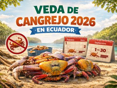 Veda de cangrejo 2026 en Ecuador: la primera será del 1 de febrero al 2 de marzo