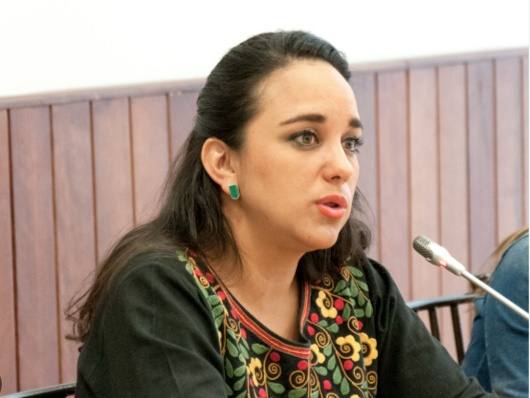 Revolución Ciudadana anuncia 100.000 demandas contra el TCE