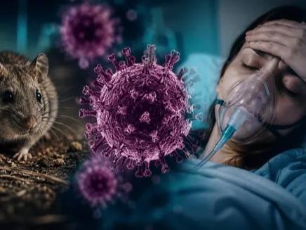 Hantavirus: qué es la cepa Andes y por qué preocupa al mundo
