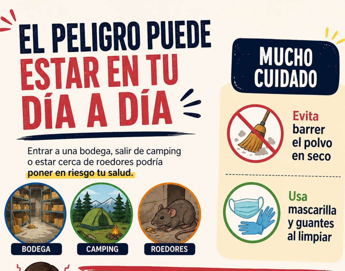Hantavirus: cómo se contagia y qué hacer ante un virus sin cura