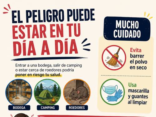Hantavirus: cómo se contagia y qué hacer ante un virus sin cura