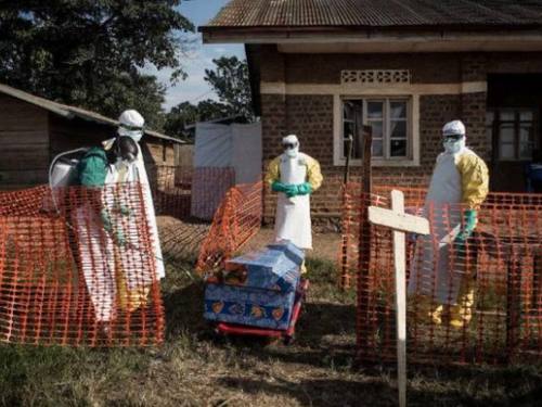 OMS declara emergencia internacional por brote de ébola en África