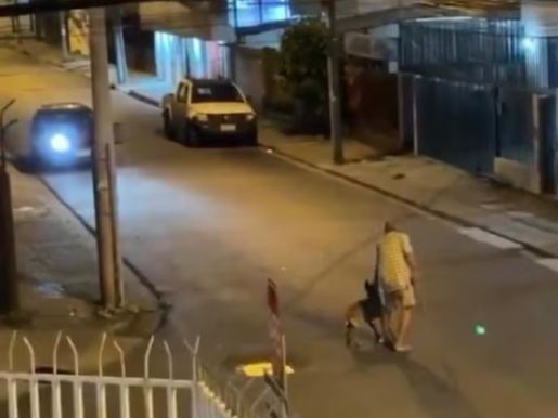 Detienen a sospechoso por atropellar a hombre y su perro en Guayaquil