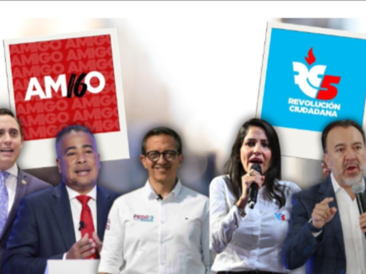 TCE suspende por nueve meses al movimiento Amigo que acogía al correísmo