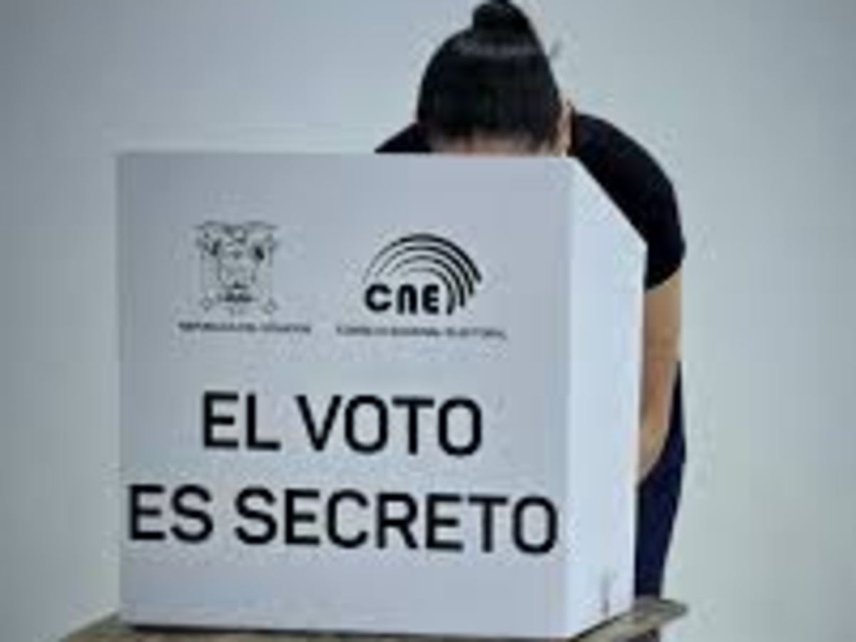 CNE define plazos para calificar candidaturas seccionales