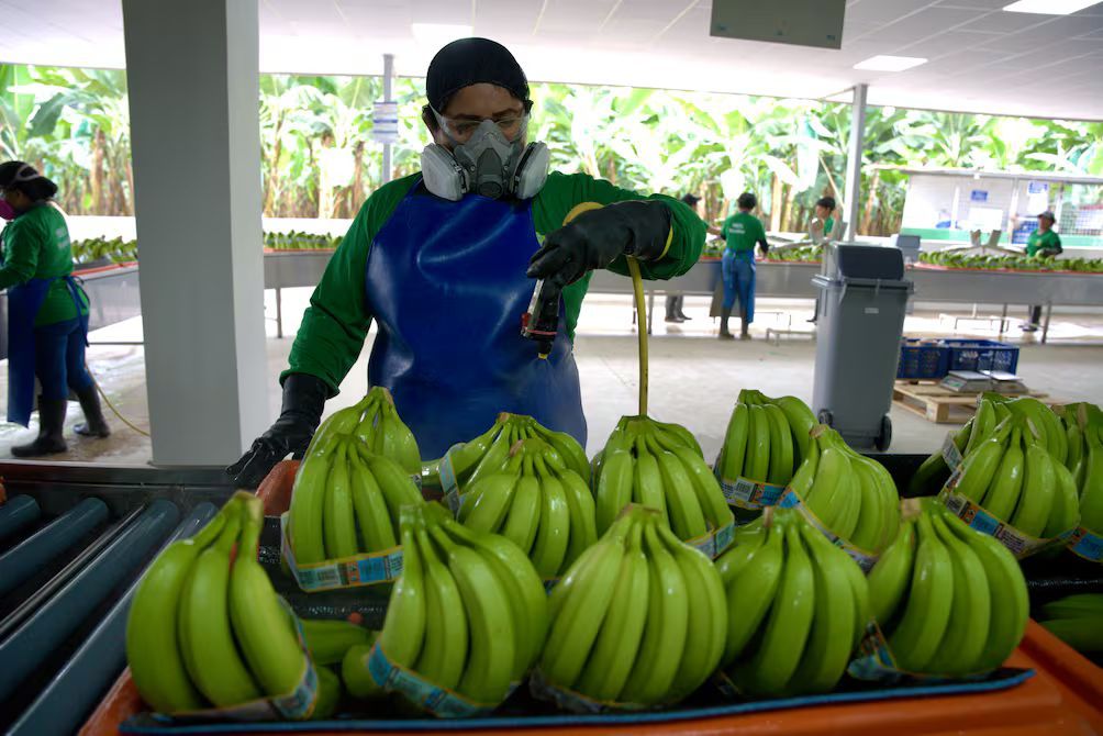 Banano e insumos sostienen el comercio Ecuador-Argentina