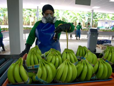 Banano e insumos sostienen el comercio Ecuador-Argentina