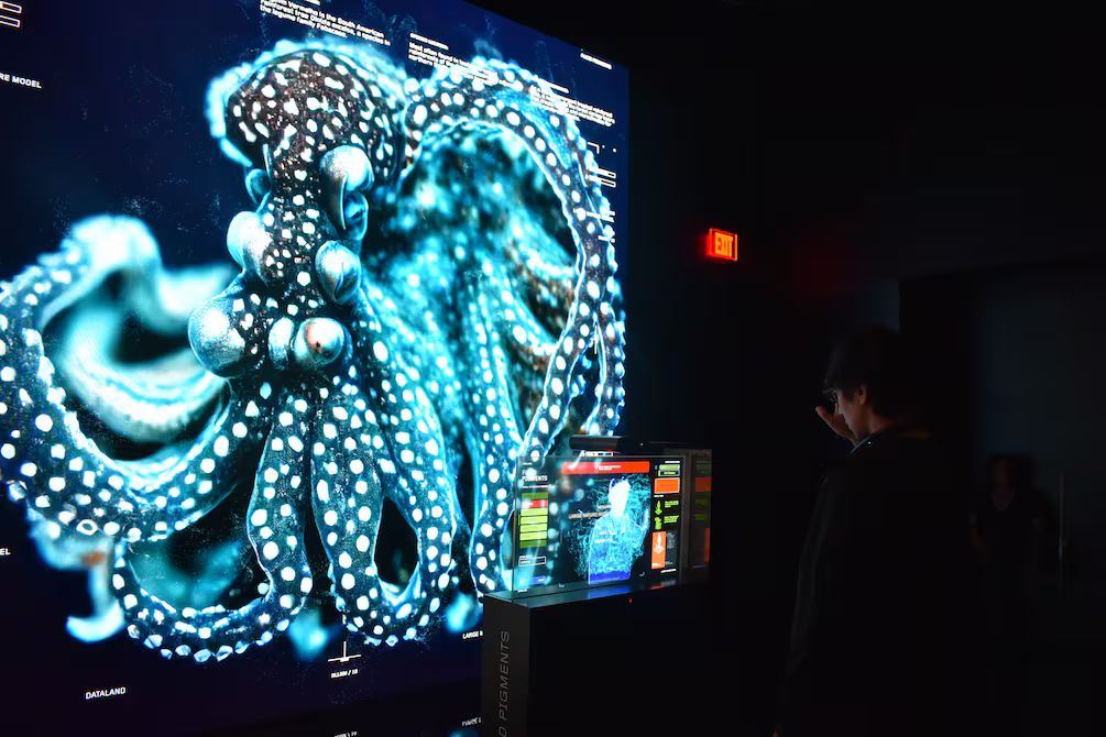 Dataland y la IA: así el museo crea arte con emociones
