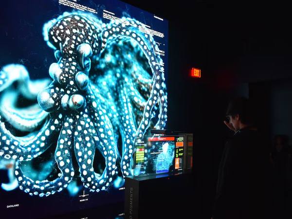 Dataland y la IA: así el museo crea arte con emociones