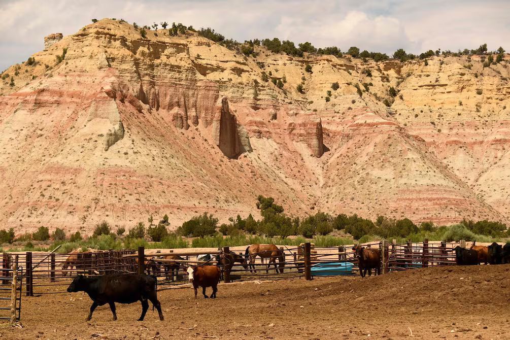 Donald Trump reducirá áreas protegidas en Utah, según reportes