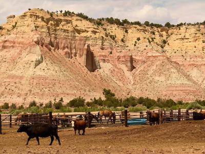 Donald Trump reducirá áreas protegidas en Utah, según reportes