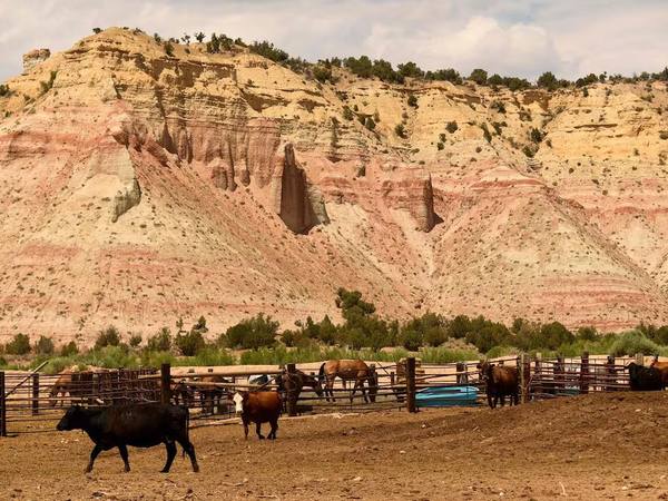 Donald Trump reducirá áreas protegidas en Utah, según reportes