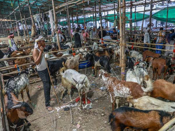 Eid al Adha en Nueva Delhi: límites al sacrificio y rezos en calles