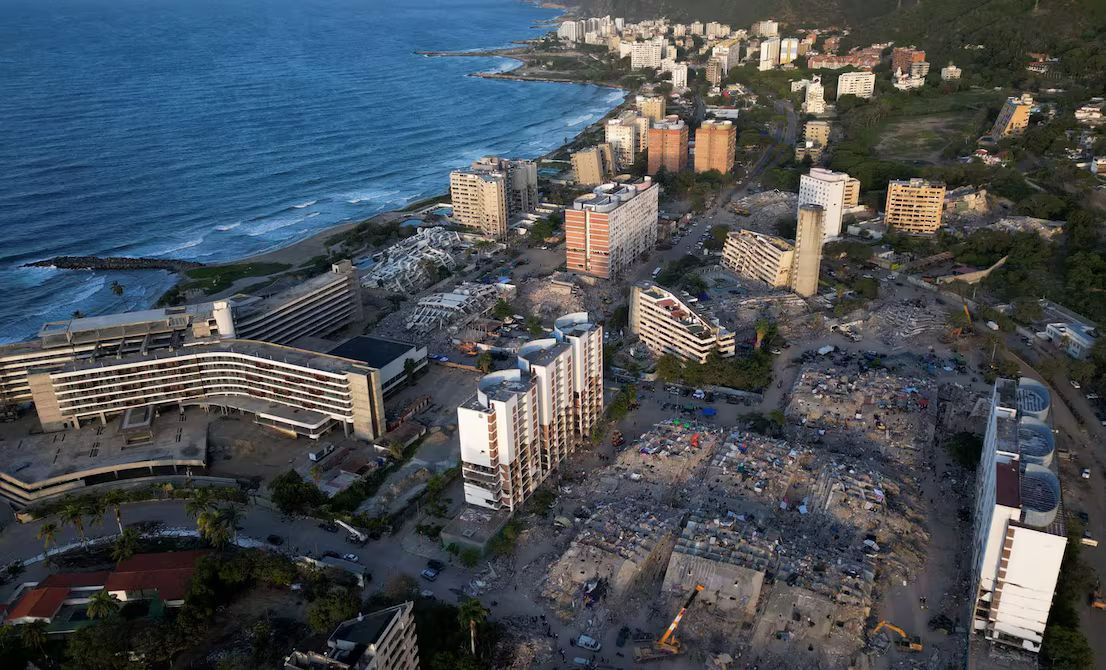 Fitorremediación en La Guaira: plantas para limpiar sin químicos