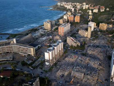 Fitorremediación en La Guaira: plantas para limpiar sin químicos