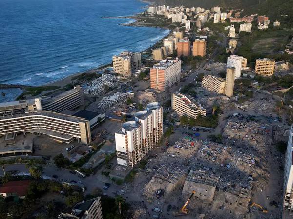 Fitorremediación en La Guaira: plantas para limpiar sin químicos
