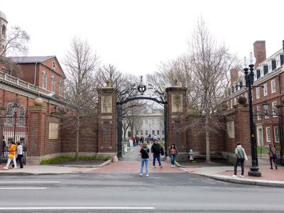 Harvard pagará 53 millones por venta de restos humanos