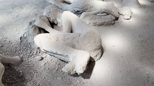 Pompeya identifica a un médico entre víctimas del Jardín de los Fugitivos