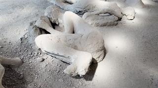 Pompeya identifica a un médico entre víctimas del Jardín de los Fugitivos